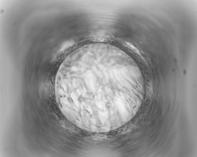 X0000087701446200705251722