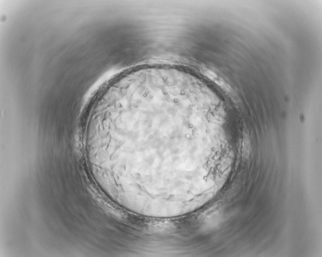 X0000087701454200705251721