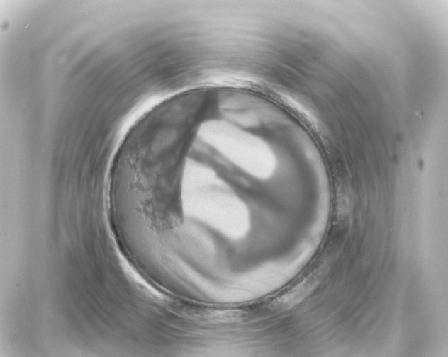 X0000087701471200705251721