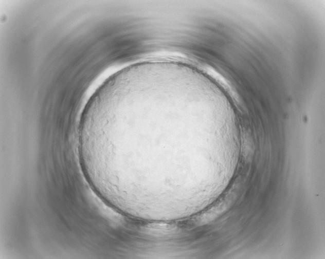 X0000087701478200705251721