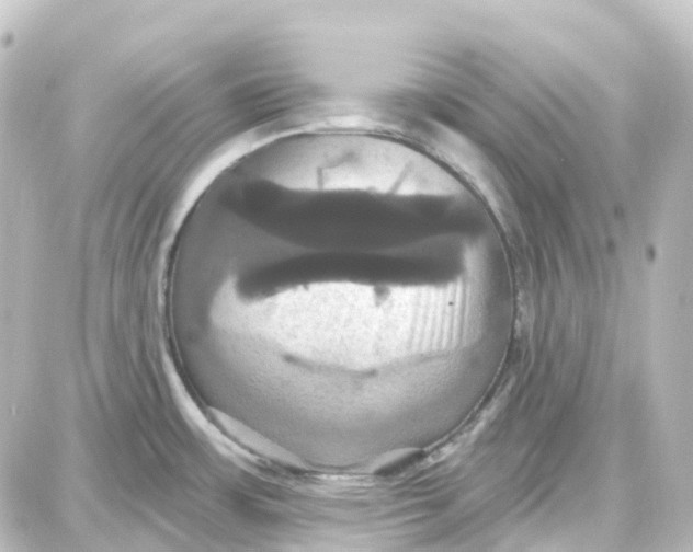 X0000087701483200705251721