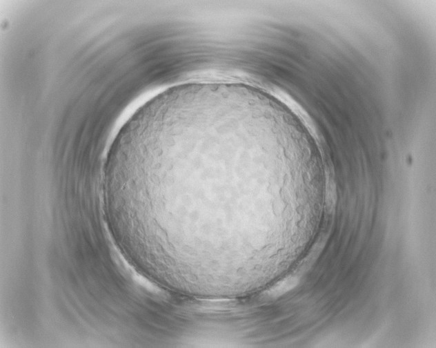 X0000087701486200705251721