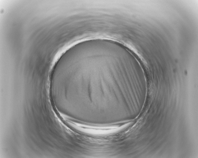 X0000087701508200705251720