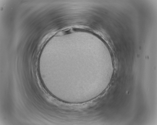 X0000087700001200706011756