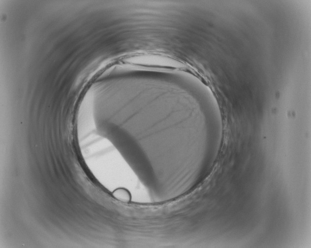 X0000087700002200706011756