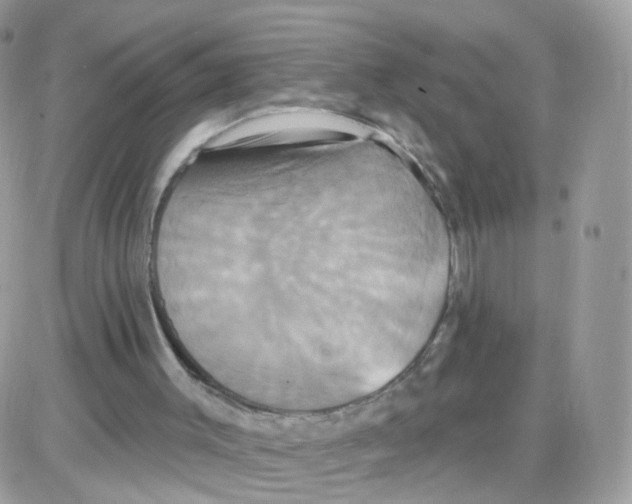 X0000087700003200706011756