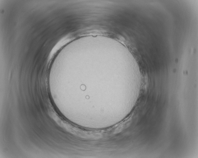 X0000087700004200706011756