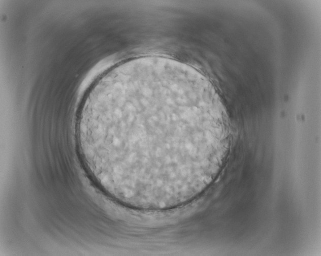 X0000087700006200706011756