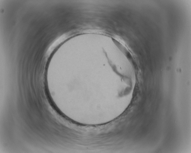 X0000087700007200706011756