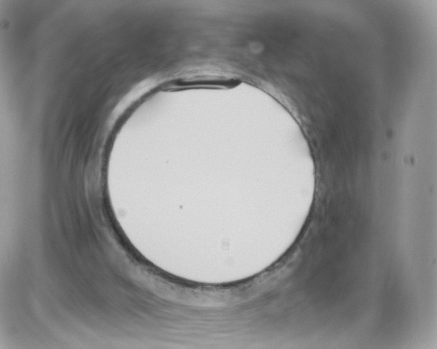 X0000087700008200706011756