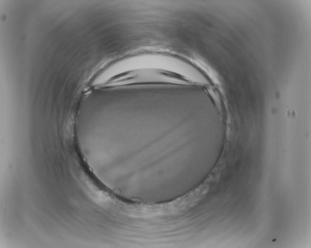 X0000087700009200706011756