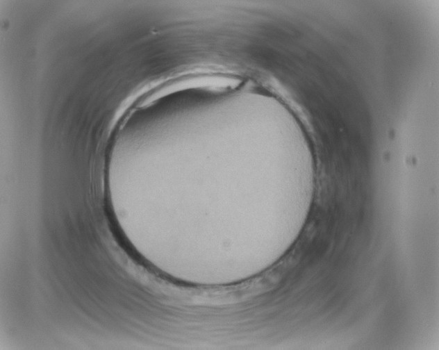 X0000087700011200706011756