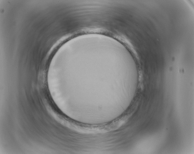 X0000087700012200706011756