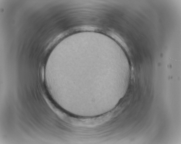 X0000087700013200706011756