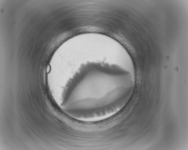 X0000087700014200706011756