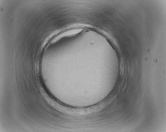 X0000087700015200706011756