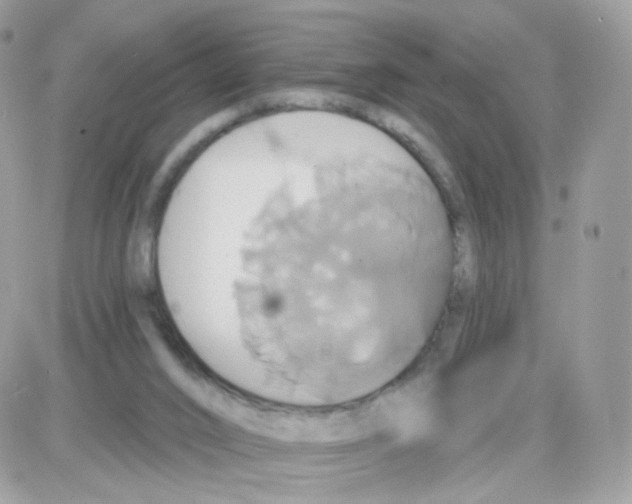 X0000087700016200706011756