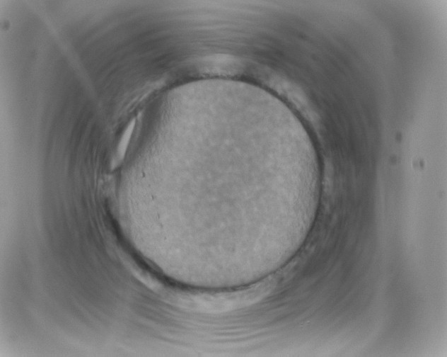 X0000087700017200706011756