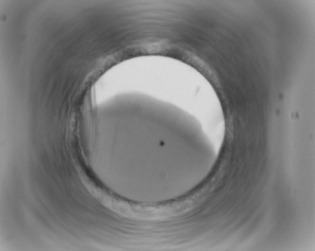 X0000087700018200706011756