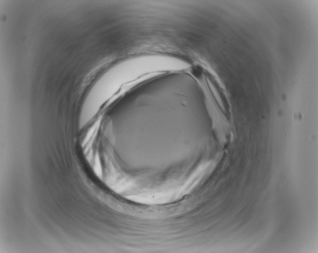 X0000087700019200706011756