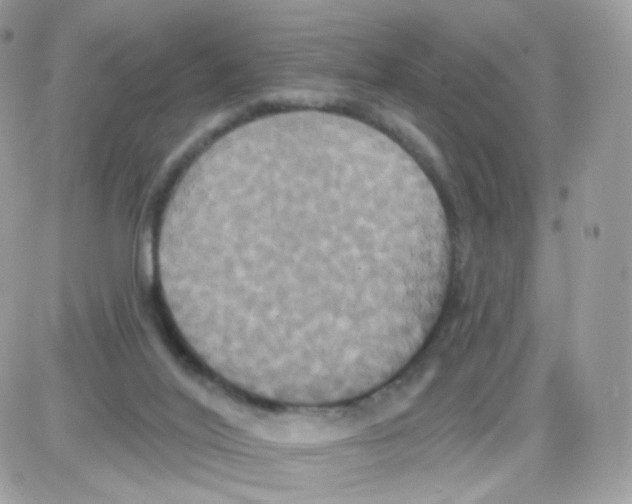 X0000087700020200706011756