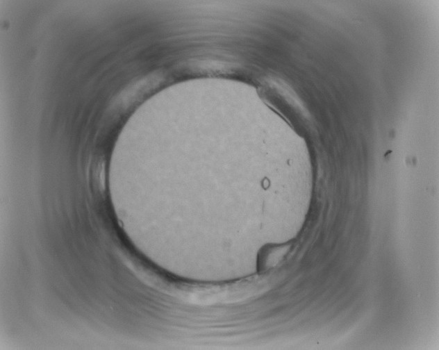 X0000087700021200706011756