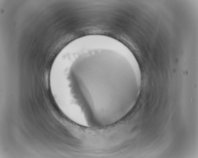 X0000087700022200706011756