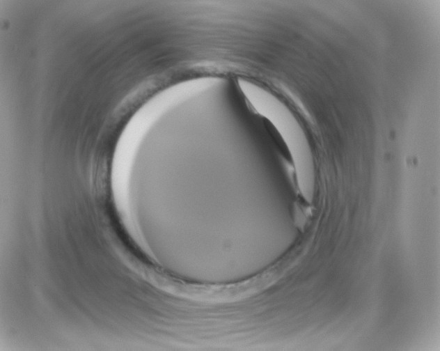 X0000087700023200706011756