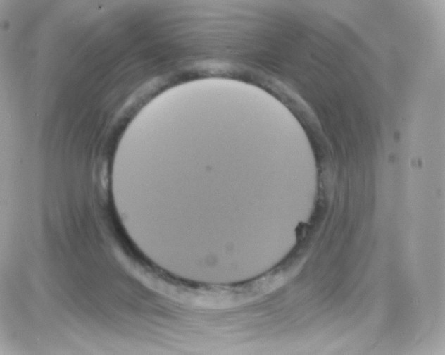 X0000087700024200706011756