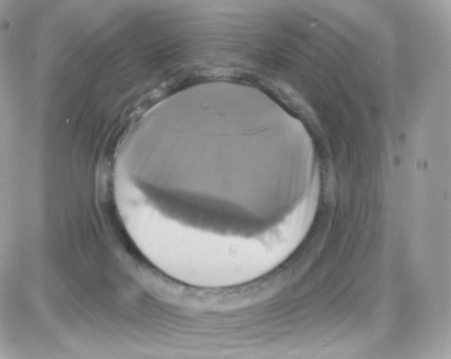 X0000087700026200706011756