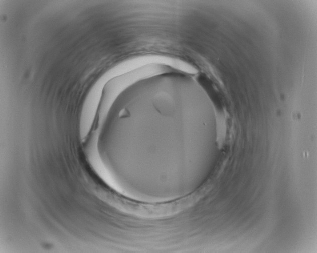 X0000087700027200706011756