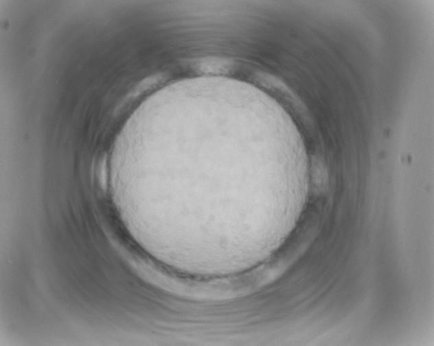 X0000087700028200706011756