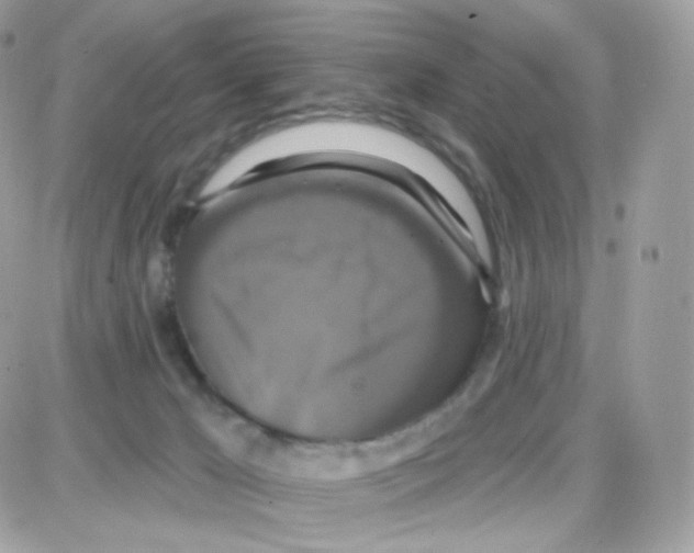 X0000087700029200706011756