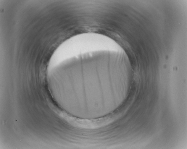 X0000087700030200706011756