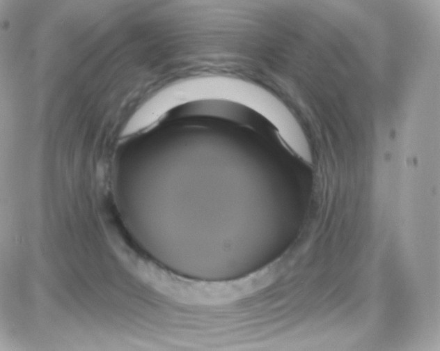 X0000087700031200706011756