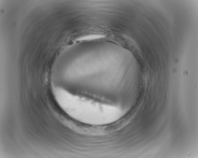 X0000087700032200706011756