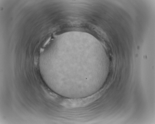 X0000087700033200706011756