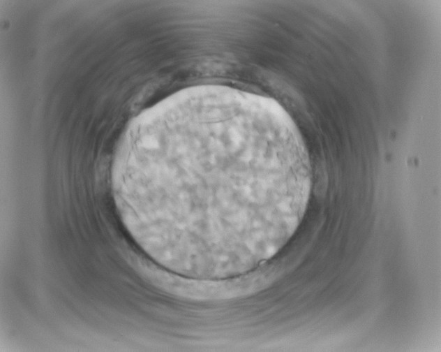 X0000087700034200706011756