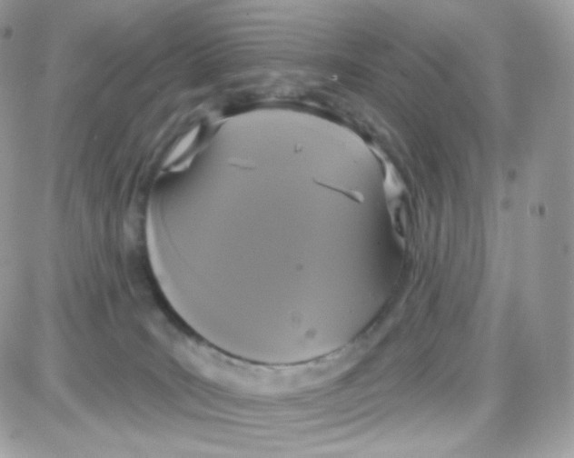 X0000087700035200706011756