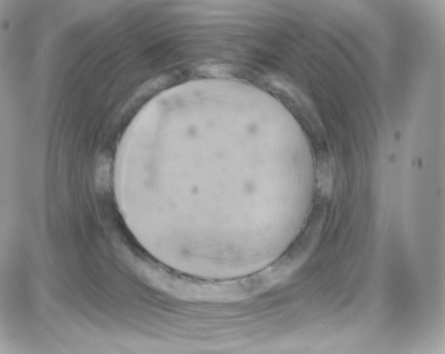 X0000087700036200706011756