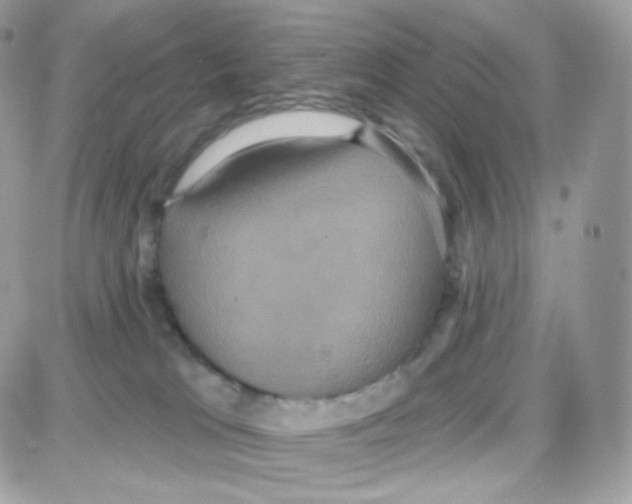 X0000087700037200706011756