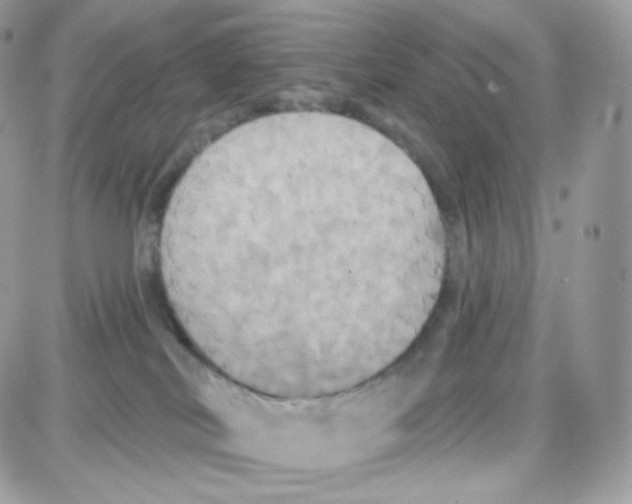 X0000087700038200706011756