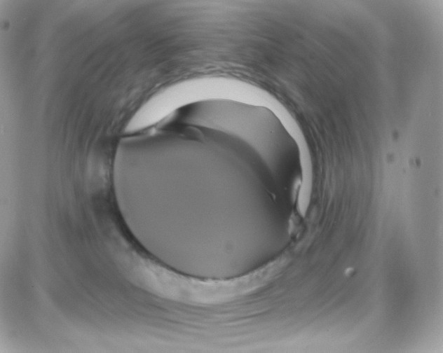 X0000087700039200706011756