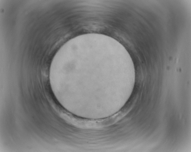 X0000087700040200706011756