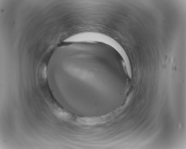 X0000087700041200706011756