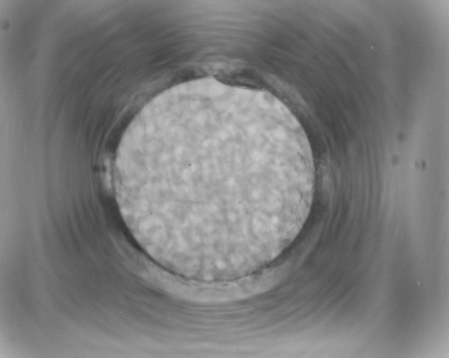 X0000087700042200706011756