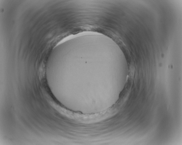 X0000087700043200706011756