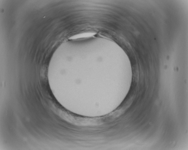 X0000087700044200706011756