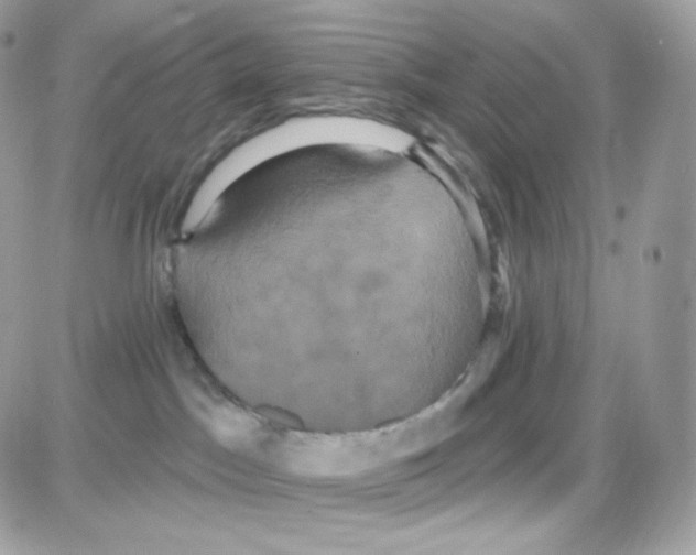 X0000087700045200706011756