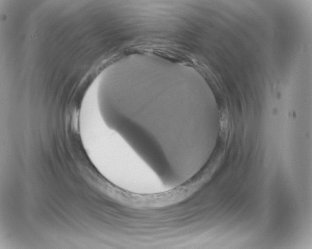 X0000087700046200706011756